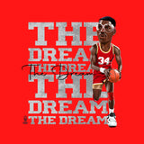 Camiseta The Dream