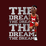 Camiseta The Dream